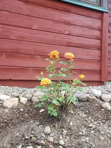 245 Baby Doe Drive Leadville, CO 80461