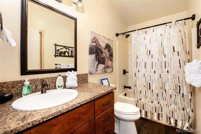 1301 Sheep Ridge Road Fairplay, CO 80440