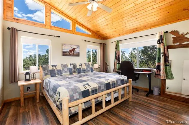 1301 Sheep Ridge Road Fairplay, CO 80440