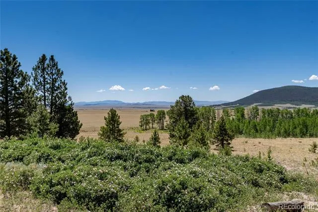 1301 Sheep Ridge Road Fairplay, CO 80440