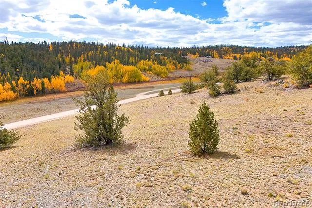 3370 Remington Road Jefferson, CO 80456