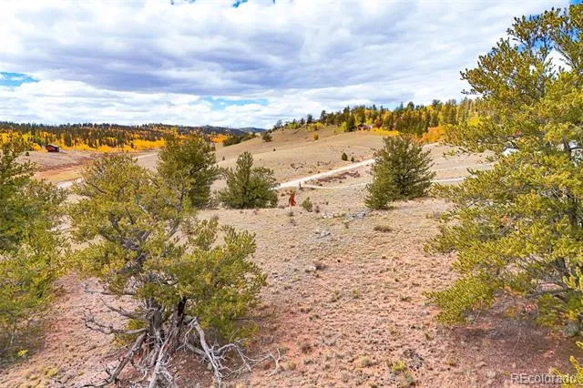 3370 Remington Road Jefferson, CO 80456