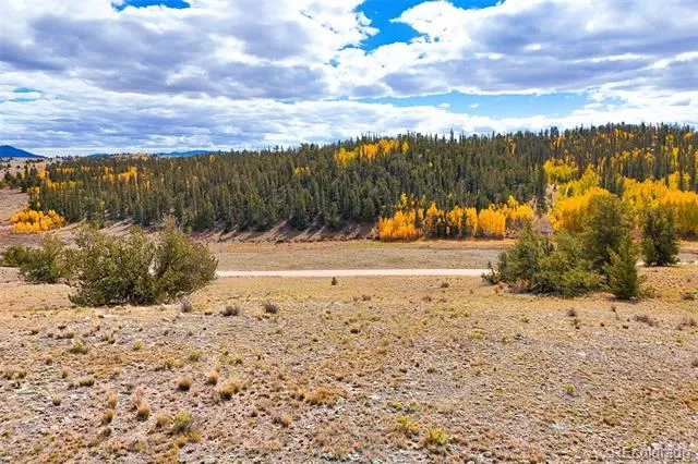 3370 Remington Road Jefferson, CO 80456