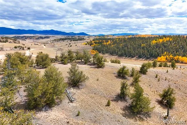 3370 Remington Road Jefferson, CO 80456