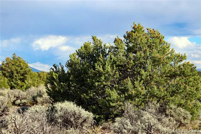 Parcel 5 Canyon Road San Luis, CO 81152