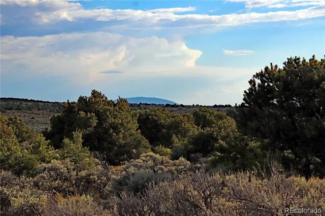 Parcel 5 Canyon Road San Luis, CO 81152