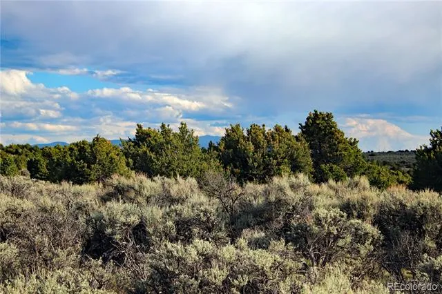 Parcel 5 Canyon Road San Luis, CO 81152