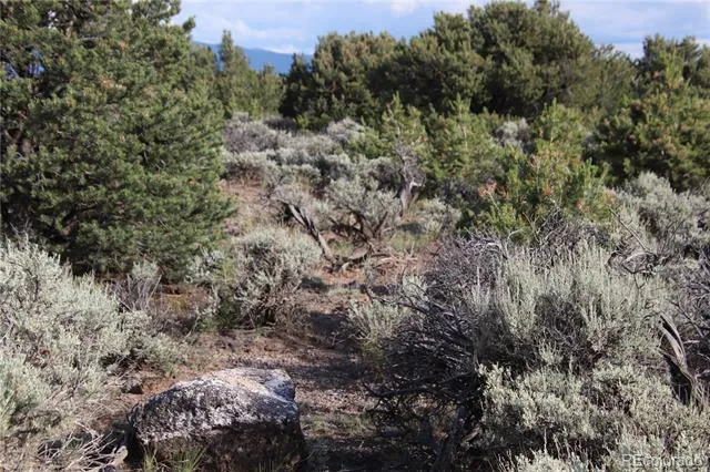 Parcel 5 Canyon Road San Luis, CO 81152