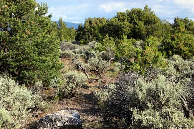 Parcel 5 Canyon Road San Luis, CO 81152