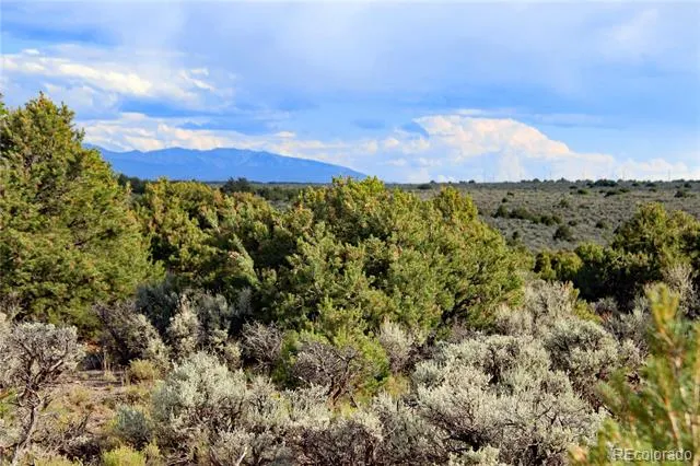Parcel 5 Canyon Road San Luis, CO 81152