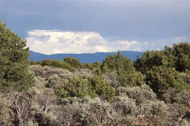Parcel 5 Canyon Road San Luis, CO 81152