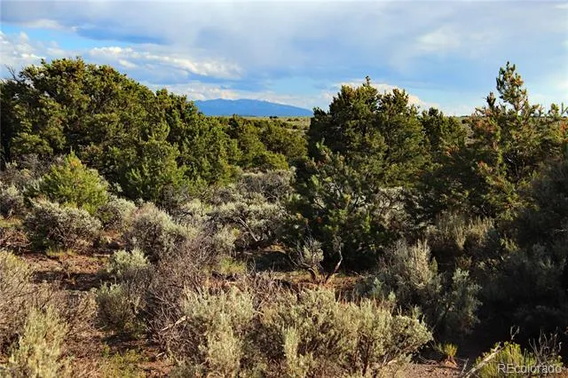 Parcel 5 Canyon Road San Luis, CO 81152