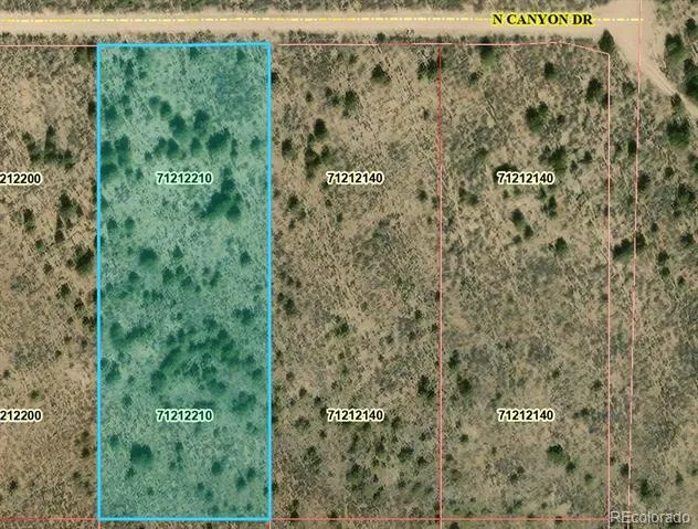 Parcel 5 Canyon Road San Luis, CO 81152