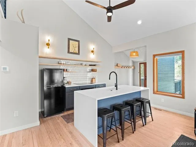 25 Saddleback Drive #A and B Evergreen, CO 80439