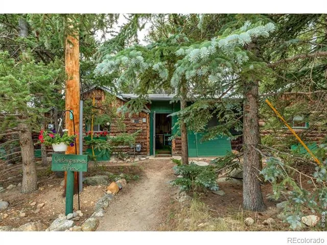 650 W Pine Street Nederland, CO 80466