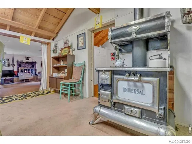 650 W Pine Street Nederland, CO 80466