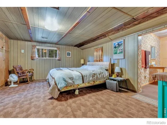 650 W Pine Street Nederland, CO 80466