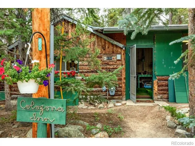 650 W Pine Street Nederland, CO 80466