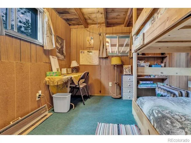 650 W Pine Street Nederland, CO 80466