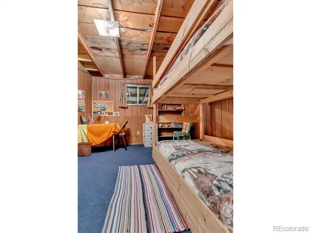650 W Pine Street Nederland, CO 80466
