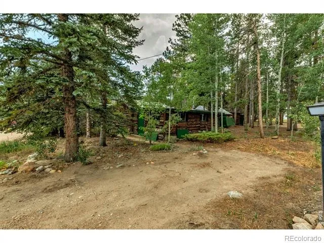 650 W Pine Street Nederland, CO 80466