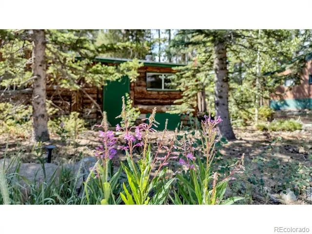 650 W Pine Street Nederland, CO 80466