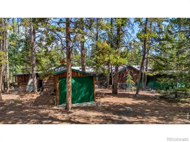650 W Pine Street Nederland, CO 80466