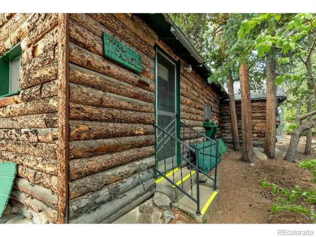 650 W Pine Street Nederland, CO 80466