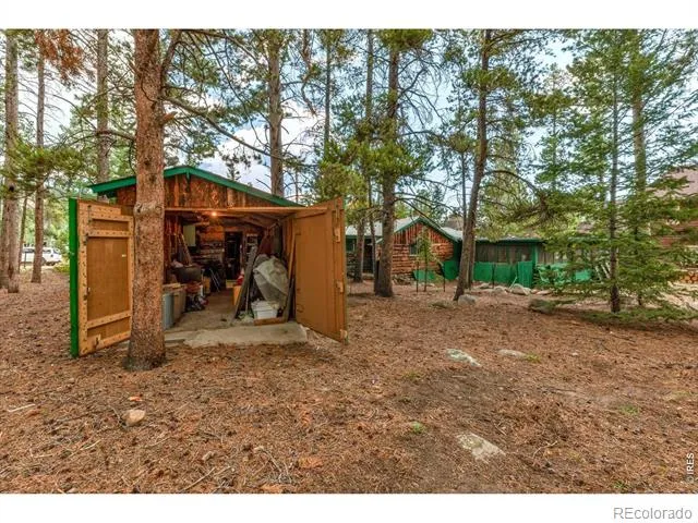 650 W Pine Street Nederland, CO 80466