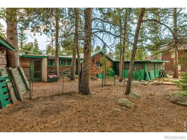 650 W Pine Street Nederland, CO 80466