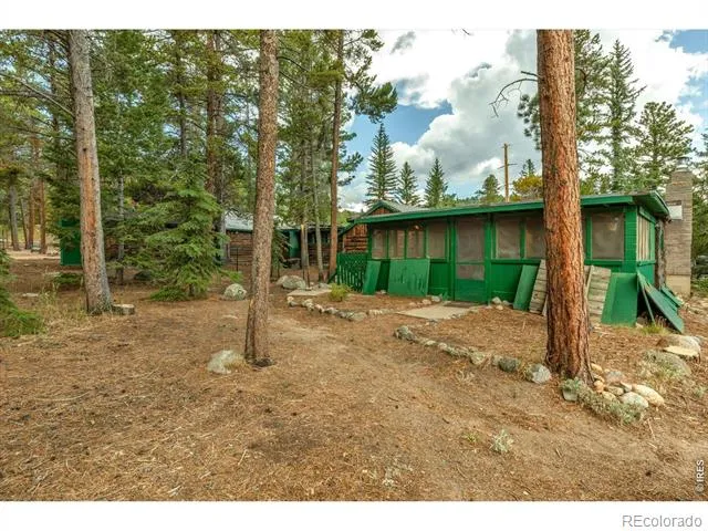 650 W Pine Street Nederland, CO 80466