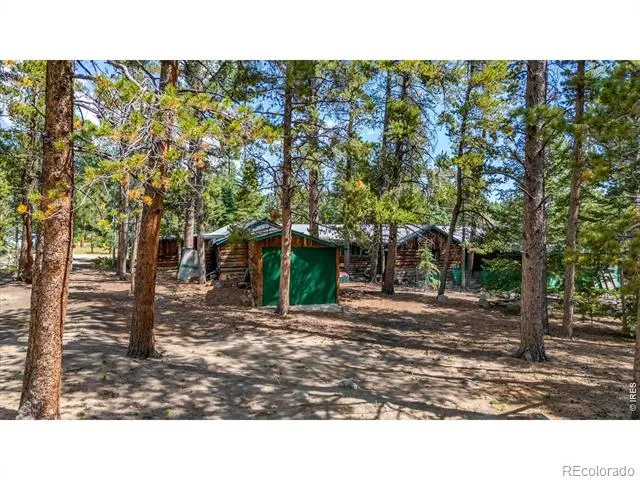 650 W Pine Street Nederland, CO 80466