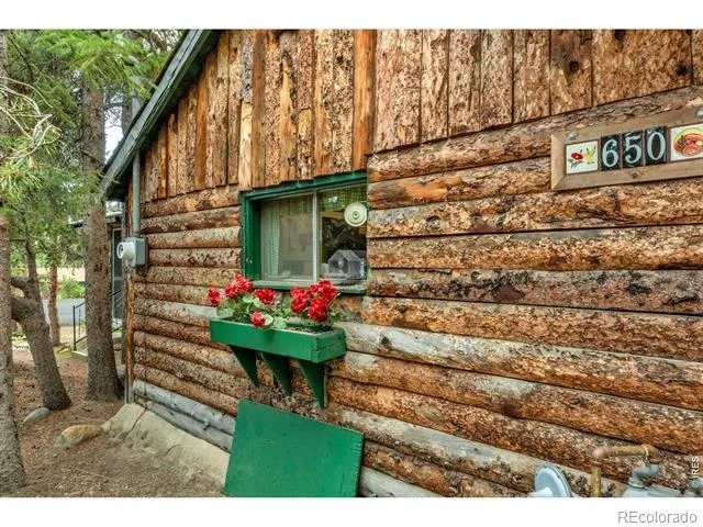 650 W Pine Street Nederland, CO 80466