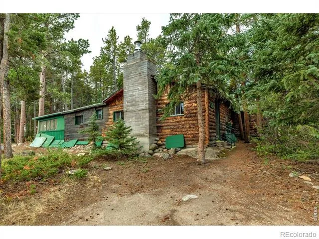 650 W Pine Street Nederland, CO 80466