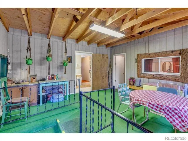 650 W Pine Street Nederland, CO 80466