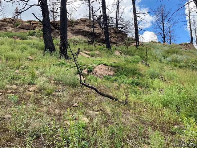 LOT 219 Wergeles Place Fort Garland, CO 81133
