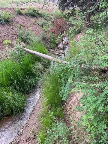 LOT 219 Wergeles Place Fort Garland, CO 81133