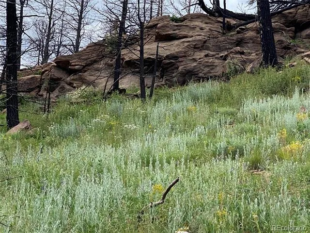 LOT 219 Wergeles Place Fort Garland, CO 81133