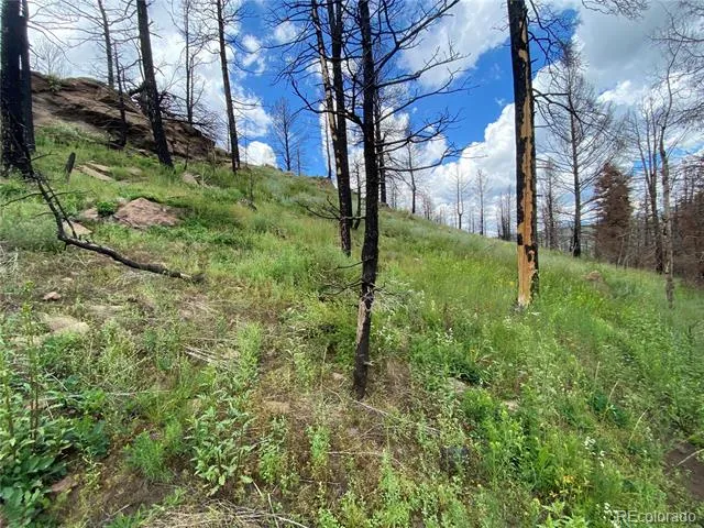 LOT 219 Wergeles Place Fort Garland, CO 81133