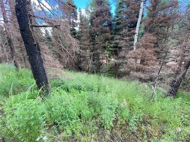 LOT 219 Wergeles Place Fort Garland, CO 81133