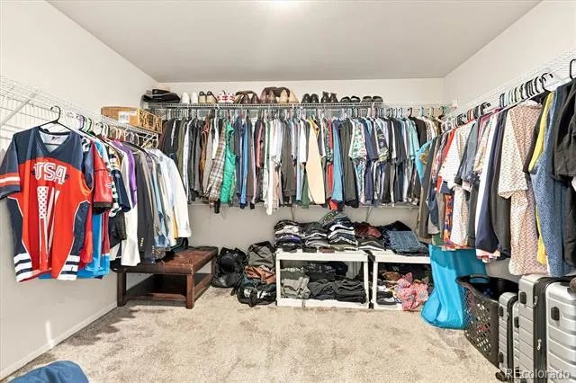 1339 E Witherspoon Drive Elizabeth, CO 80107