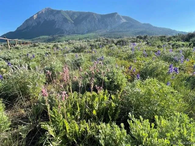 376 Wapiti Lane Crested Butte, CO 81224