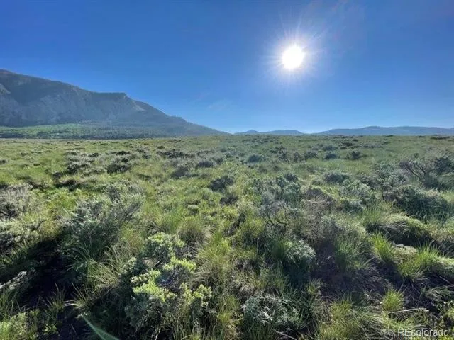 376 Wapiti Lane Crested Butte, CO 81224