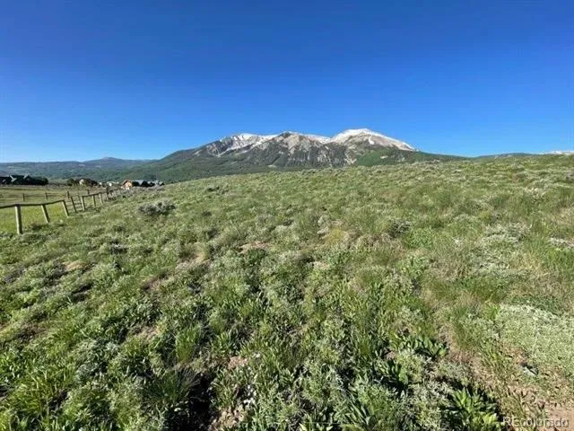 376 Wapiti Lane Crested Butte, CO 81224