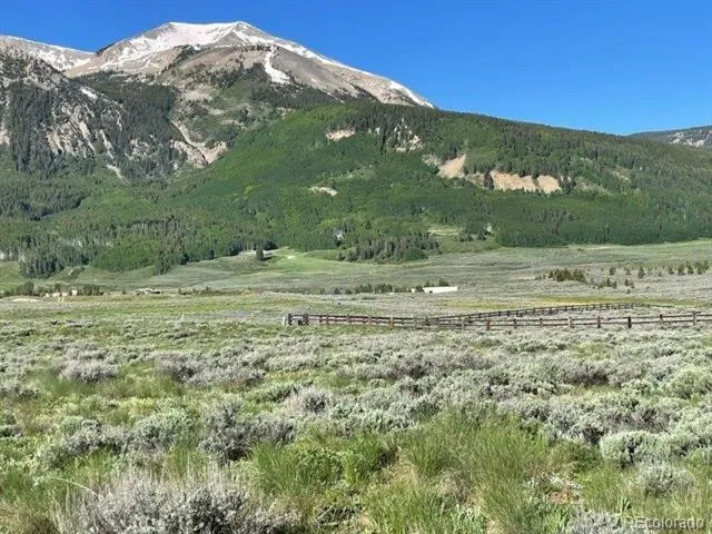 376 Wapiti Lane Crested Butte, CO 81224