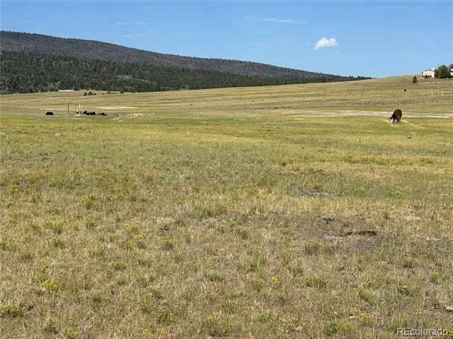 3 Ranch Hartsel, CO 80449