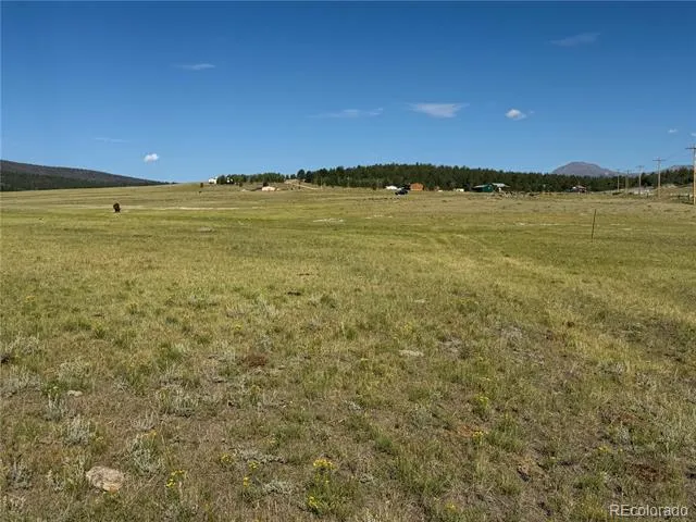 3 Ranch Hartsel, CO 80449