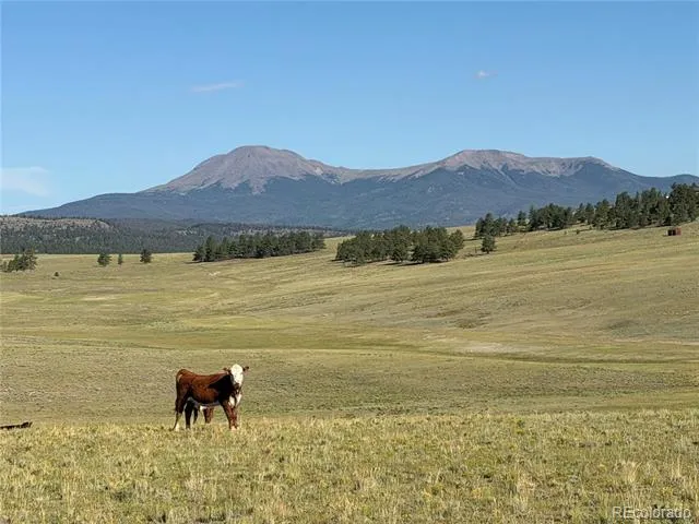 3 Ranch Hartsel, CO 80449