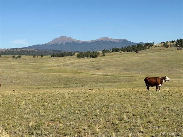 3 Ranch Hartsel, CO 80449