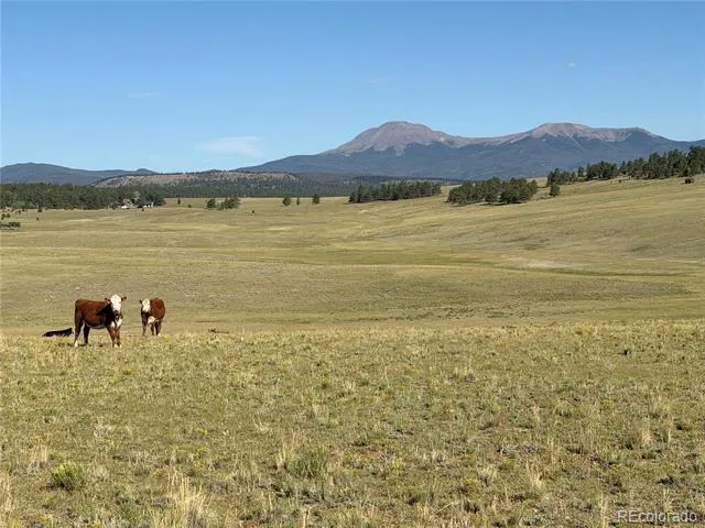 3 Ranch Hartsel, CO 80449